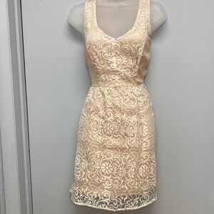 Jealous Tomato Sleeveless Printed Sheer Overlay Dress